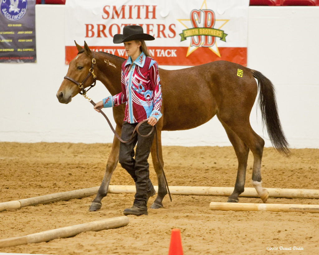 A wild horse trained through BLM’s partnership with the Mustang Heritage Foundation.