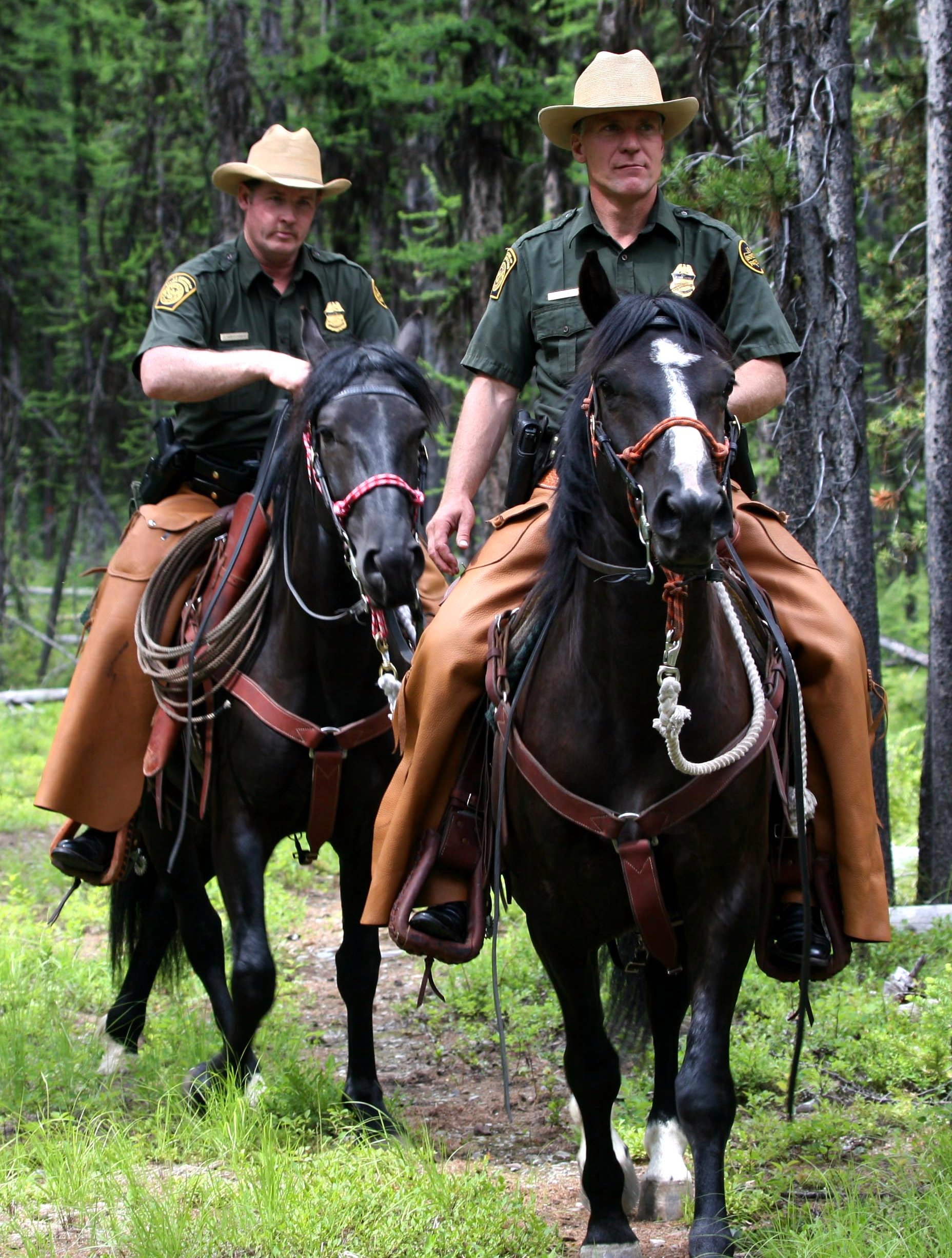 The U.S. Border Patrol on adopted wild horses.