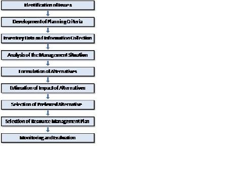 BLM Planning Process