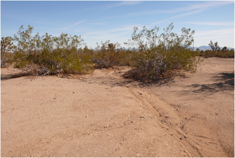 Larger On-Site Existing Stormwater Conveyance Channel